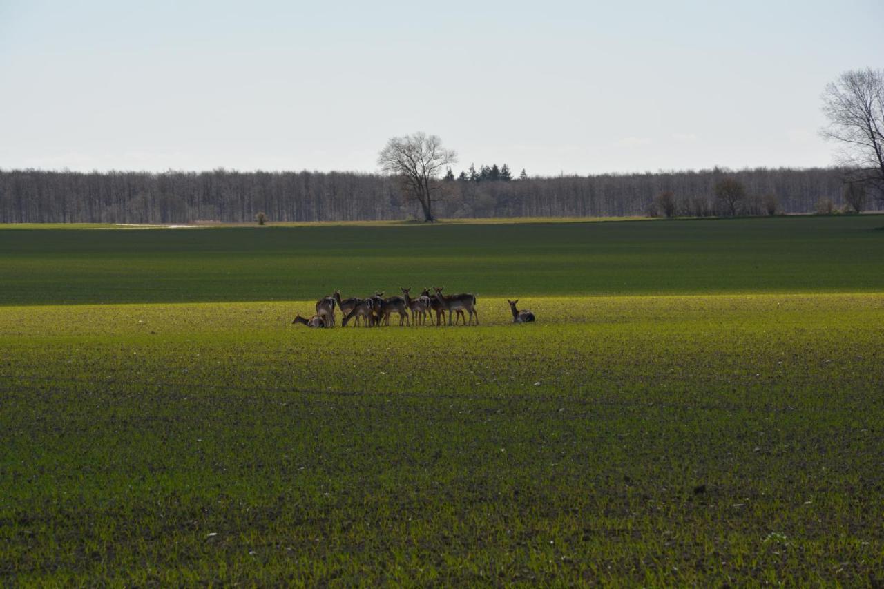 Kirkely Bed And Breakfast Vester Ulslev Buitenkant foto