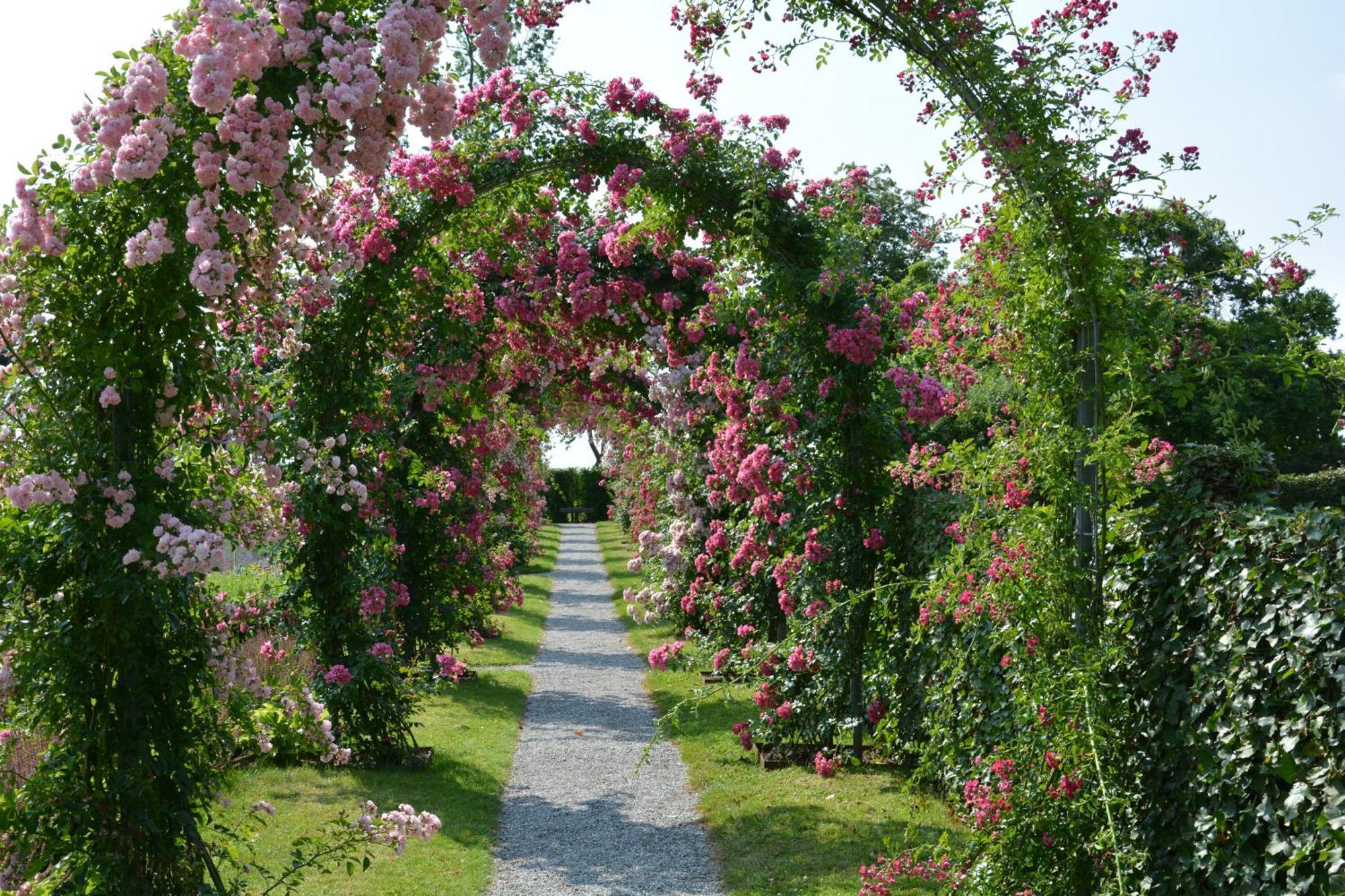 Kirkely Bed And Breakfast Vester Ulslev Buitenkant foto